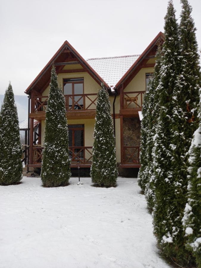 На Березі Черемошу Verkhovyna Dış mekan fotoğraf
