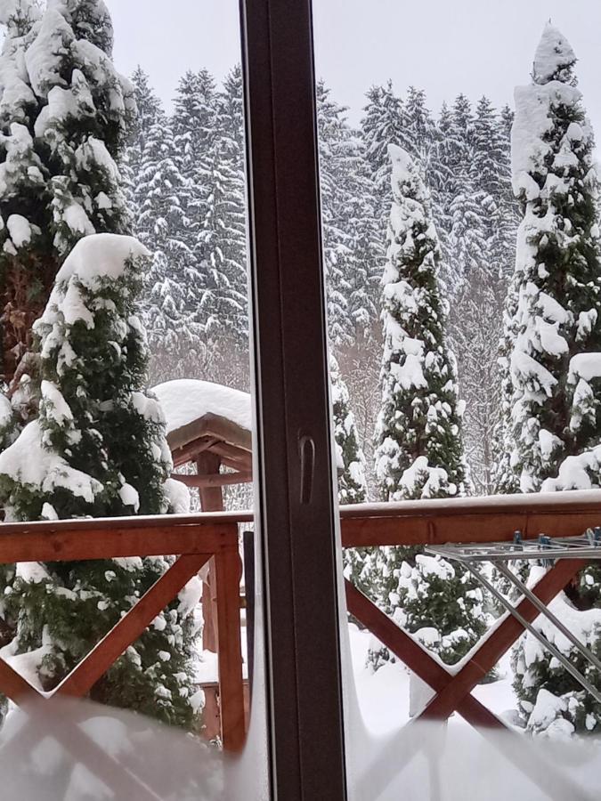 На Березі Черемошу Verkhovyna Dış mekan fotoğraf